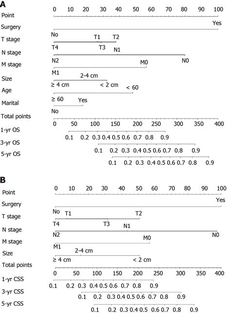 Nomograms For Predicting Overall Survival And Cause Specific Survival