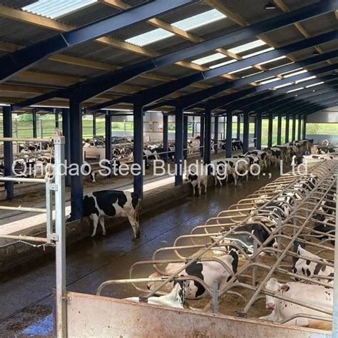 Metal Building Cow Farm Steel Structure Cow Shed Cattle Sheds Goat Shed