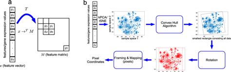 DeepInsight A Methodology To Transform A Non Image Data To An Image