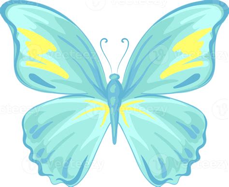 ilustração linda pintura de borboleta 9597735 PNG