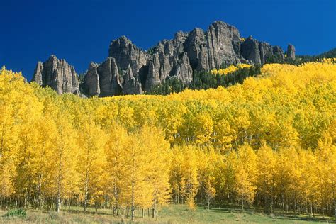 Uncompahgre National Forest, Co Photograph by James Steinberg