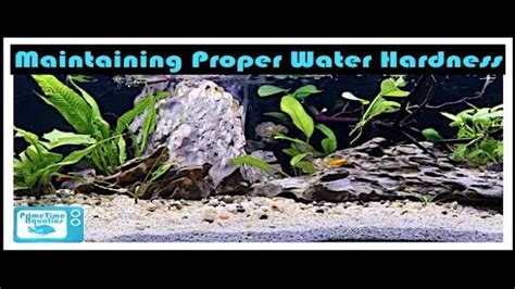 How To Lower Aquarium Water Hardness The Easy Way Top Tips For Your