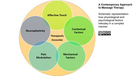 A Contemporary Approach To Massage Therapy — Richard Lebert Registered