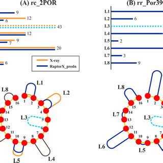 A Comparison Between Experimentally Determined And Predicted Loop