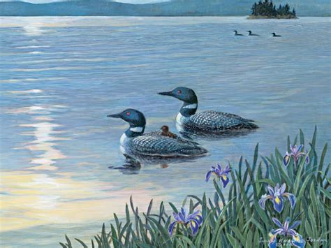 Lang December 2014 Loons On The Lake Lake Painting Birds Painting