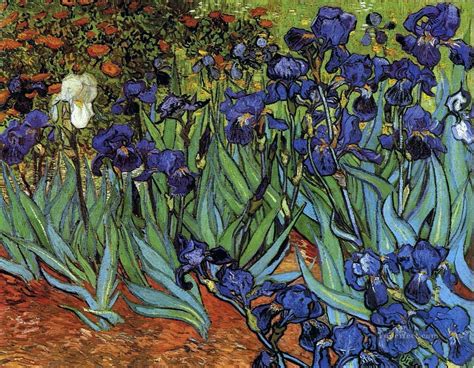 Irises Vincent van Gogh Impressionism Flowers Painting in Oil for Sale