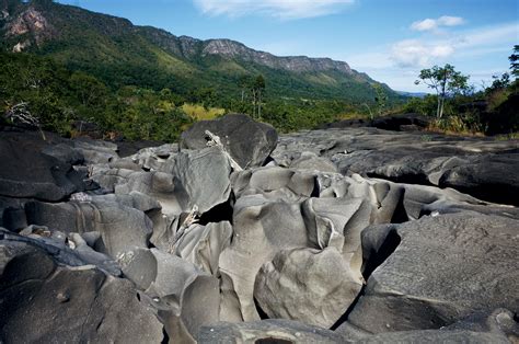 Exposi O Fotogr Fica Biomas Anos Wwf Brasil Wwf Brasil