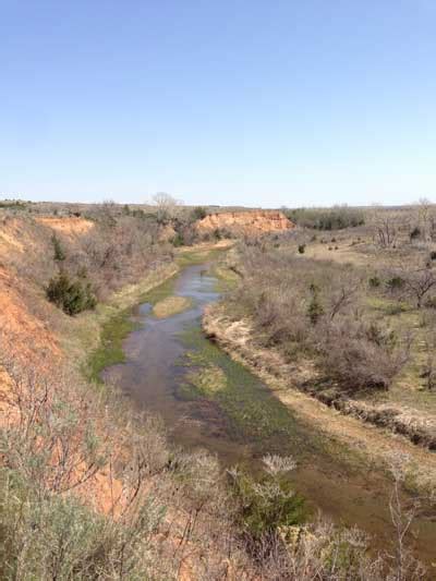 Rio Grande Wild Turkey Habitat - I AM Turkey Hunting!