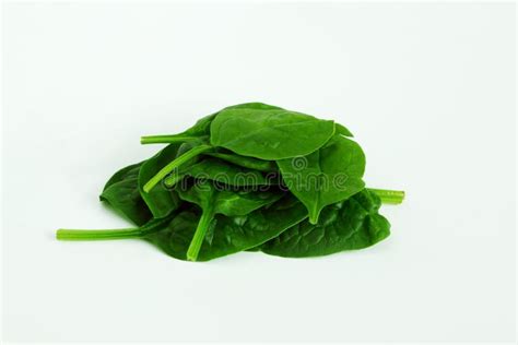 Garden Fresh Green Leafy Vegetable Spinach Leaf Also Known In India As