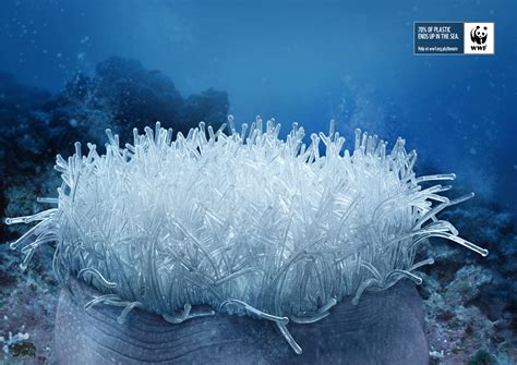 WWF: Anemone, Brain Corals, Fan Corals • Ads of the World™ | Part of ...