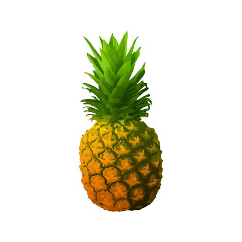 Pineapple Fruit Vector Illustration Isolated On White Background 4387930 Vector Art At Vecteezy