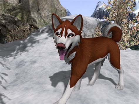 Second Life Marketplace Twi Red Siberian Husky For Twi Timber Wolf