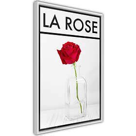 Artgeist Poster Affisch La Rose Poster 40x60 A3 DRBPRP1362l Br