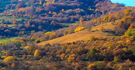 Autumn Transylvanian Picturesque Photograph By Ana Naturist Fine Art