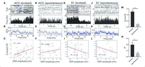 Spike Phase Locking Of One Representative Acc Units And One