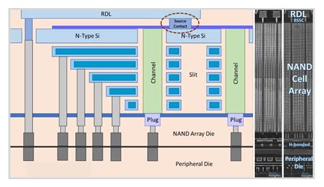 YMTC Is A Leading Pioneer In 3D NAND EE Times Asia