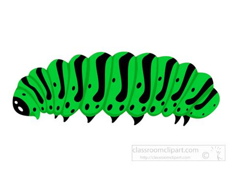 Insect Clipart Clipart Caterpillar Insect Clipart Classroom Clipart