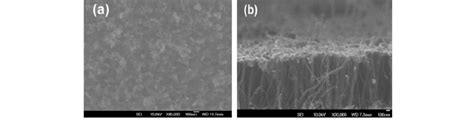 A Fe Sem Micrograph Of Vertically Aligned Mwcnts Grown Directly On