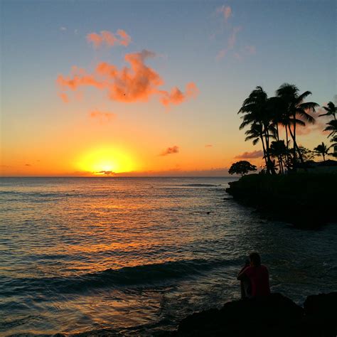 North Shore Oahu: Snorkeling & Cliff Jumping