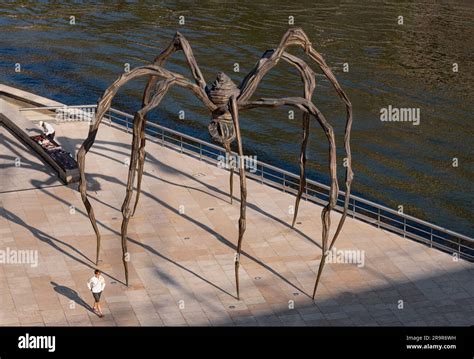 España País Vasco Bilbao zona del Museo Guggenheim Maman es una