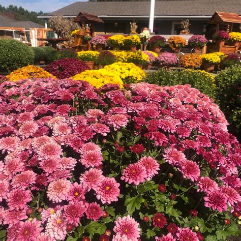 Tate Farms & Nursery | Killen AL