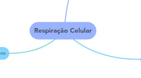 Respiração Celular MindMeister Mapa Mental