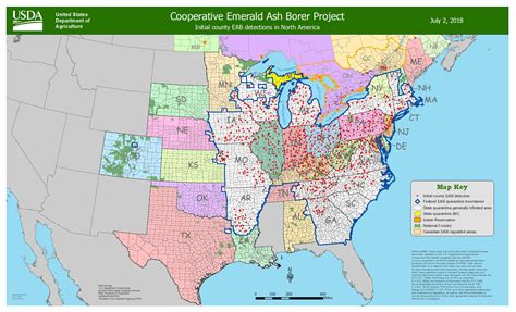 Emerald Ash Borer Coming To An Ash Tree Near You ACAP Saint John