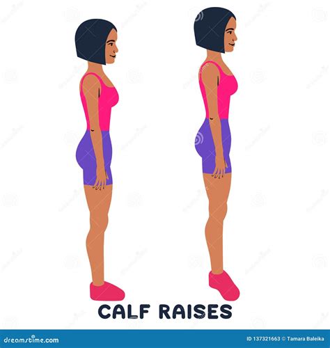 Calf Raises Sport Exersice Silhouettes Of Woman Doing Exercise Stock