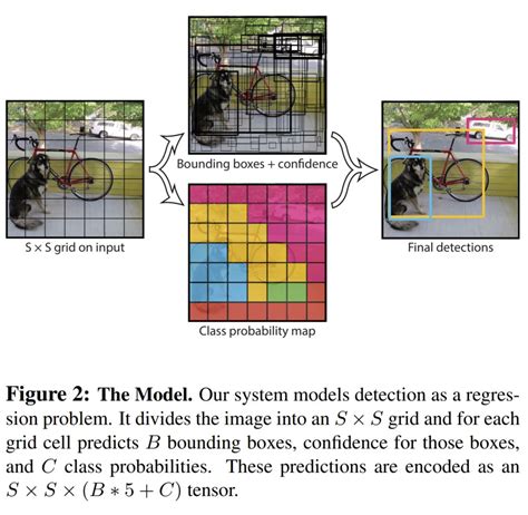 Bytepawn Marton Trencseni Yolo Object Detection Architecture