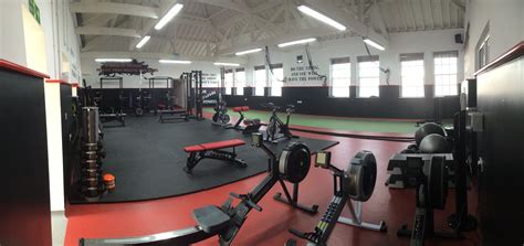 Blog Posts - Your Next Level Fitness