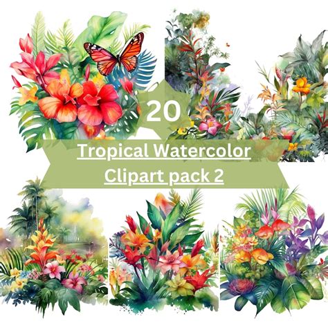 Tropical Watercolor Clipart Pack 2 Summer Vibes And Jungle Clipart