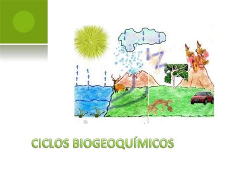 Ciclos Biogeoquimicos