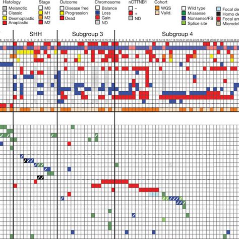 The Genomic Landscape Of Medulloblastoma Top Clinical Histological