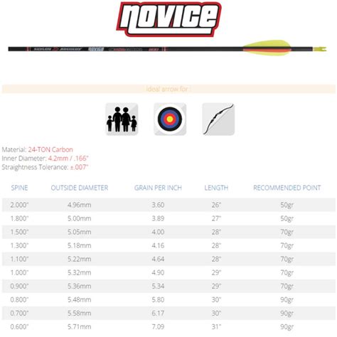 Lot De Fl Ches Skylon Novice Id En Carbone