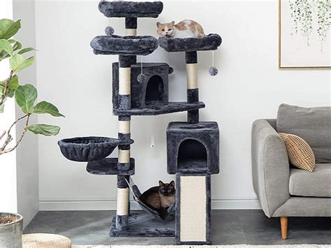 Best 6 Sturdy Cat Trees And Towers For Large Cats 2022 Offer