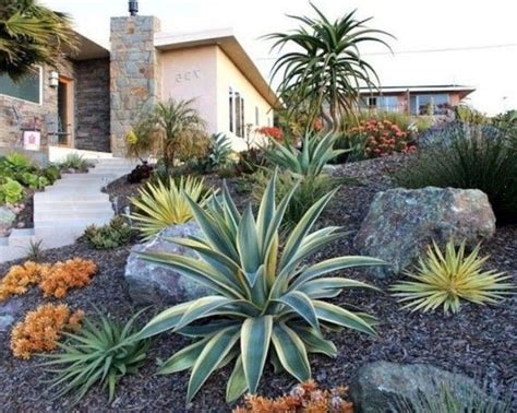 36 Beautiful Cactus Landscaping Ideas For Your Front Yards Decor