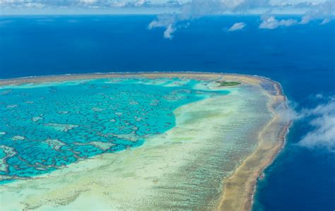 Garniers Partnership With The Great Barrier Reef Foundation To Support