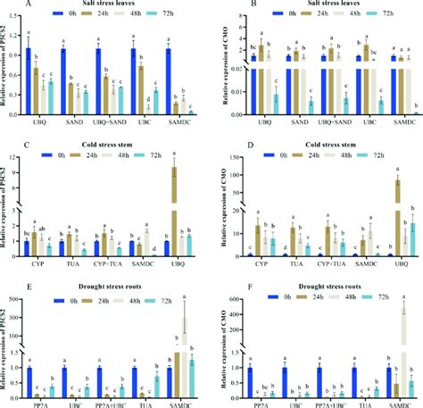 Relative Gene Expression Levels Of Utilizing The Chosen Reference