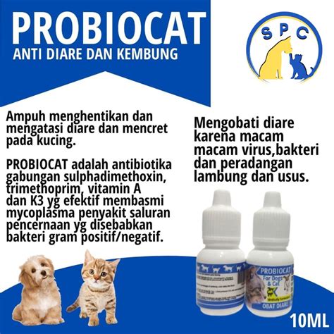 Jual Obat Kucing Mencret Diare Gangguan Pencernaan Probiotik Kucing