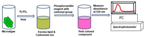 A Schematic Representation Of The Lipid Detection Principle In The Download Scientific Diagram