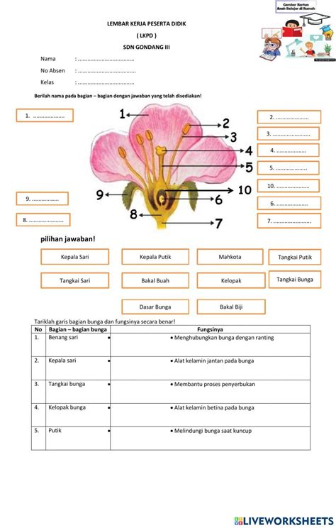 Ipas Bagian Bagian Bunga Dan Fungsinya Worksheet Live Worksheets