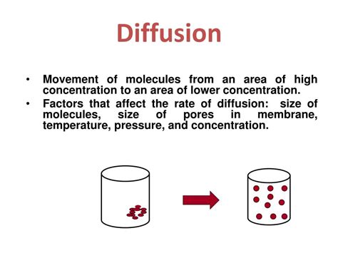 Ppt Osmosis And Diffusion Powerpoint Presentation Free Download Id