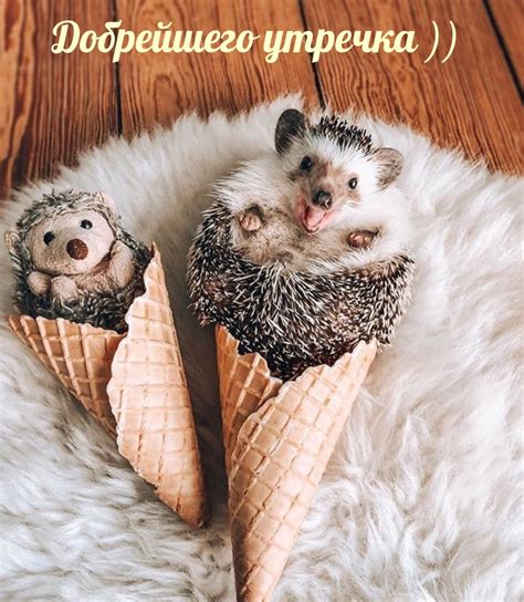 Картинка - Добрейшего утречка )).