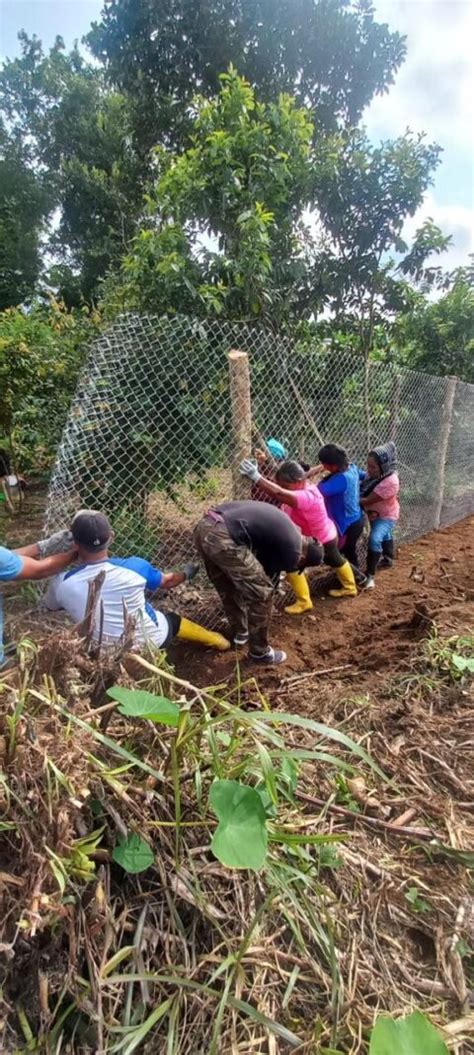 Ajas Ancestrales Preservan Conocimientos En Plantas Medicinales