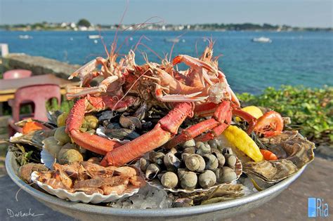 Dégustation Saint Guillaume Plateau de fruits de mer sur place ou