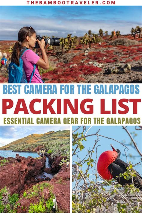 Galapagos Packing List What Camera Gear To Pack The Bamboo Traveler