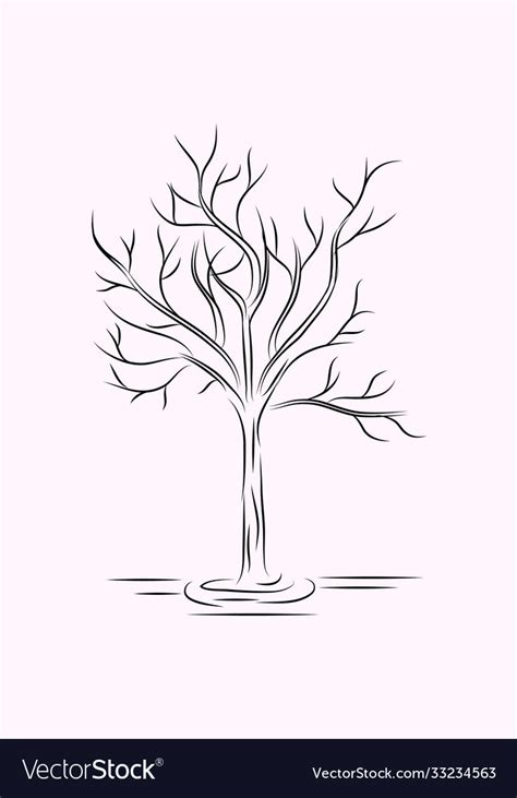 Tree Line Art Black And White Sketches Drawing Vector Image