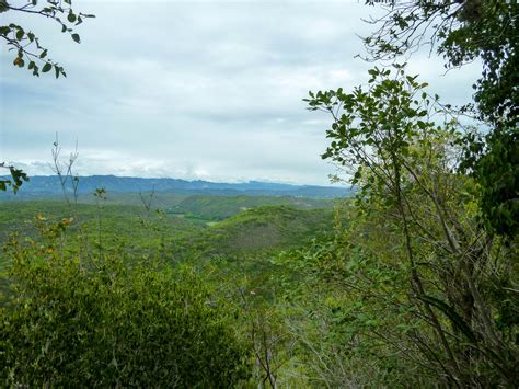 Guanica Dry Forest - Puerto Rico 1streetover travel