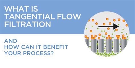 What Is Tangential Flow Filtration And How Can It Benefit Your Process