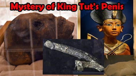 Mystery of King Tut s Penis لغز العضو الذكرى ل توت عنخ امون YouTube